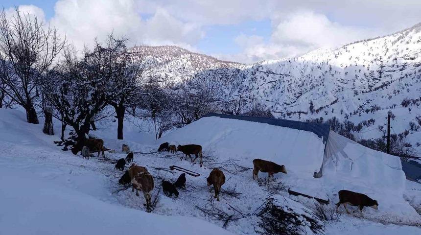 Batman&rsquo;da mart ayında kar yağışı etkili oldu