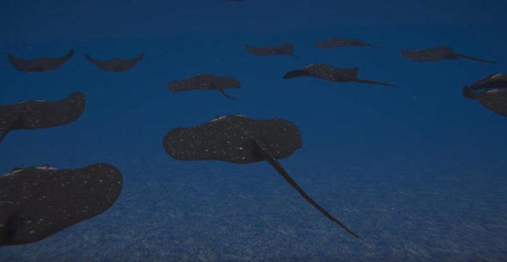 İşte denizlere inecek o 'canavar' G3