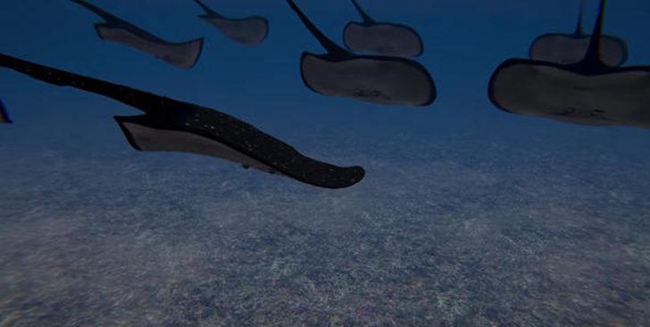 İşte denizlere inecek o 'canavar' G4