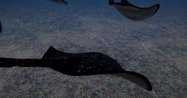 İşte denizlere inecek o 'canavar' G5