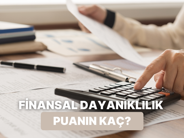 Finansal Dayanıklılık (Rezilyans) Puanın Ka&ccedil;?
