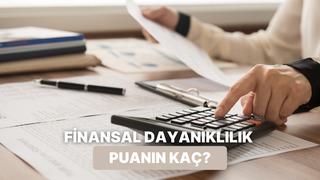 Finansal Dayanıklılık (Rezilyans) Puanın Kaç?