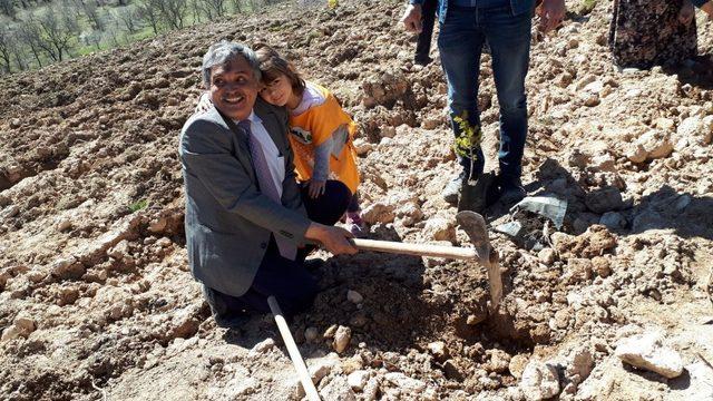 Önce fidan diktiler sonra da doğaya yem bıraktılar