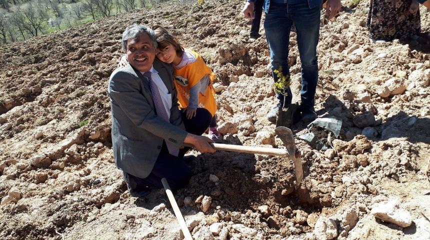 &Ouml;nce fidan diktiler sonra da doğaya yem bıraktılar