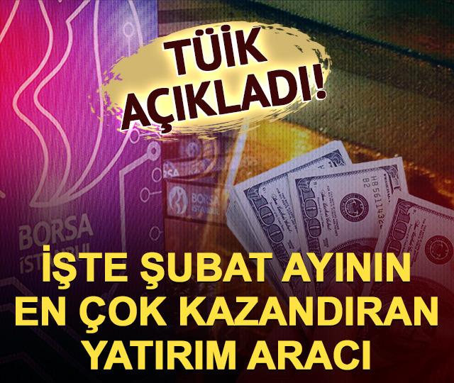 TÜİK açıkladı! Şubat ayının en çok kazandıran yatırım aracı belli oldu