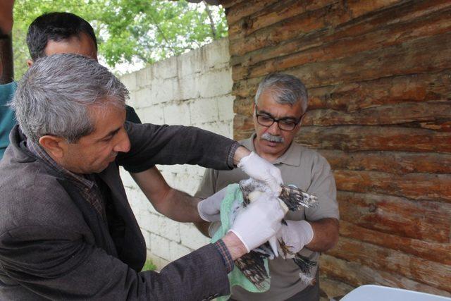 Mazot tankına düşen kuş kurtarıldı