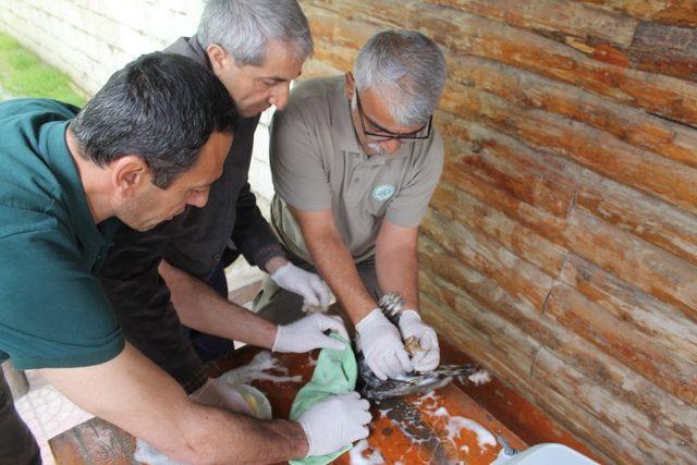 Mazot tankına düşen kuş kurtarıldı