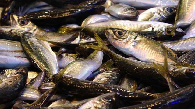 Hamside beklenen son! 3