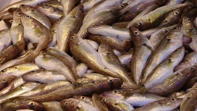 Hamside beklenen son! 4