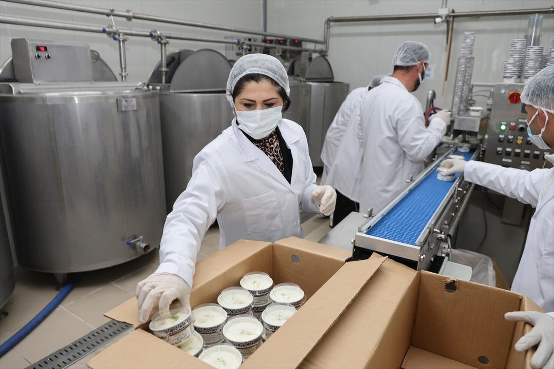 Arkadaşından öğrendi: Hayali gerçekleşti, işinin patronu oldu 1