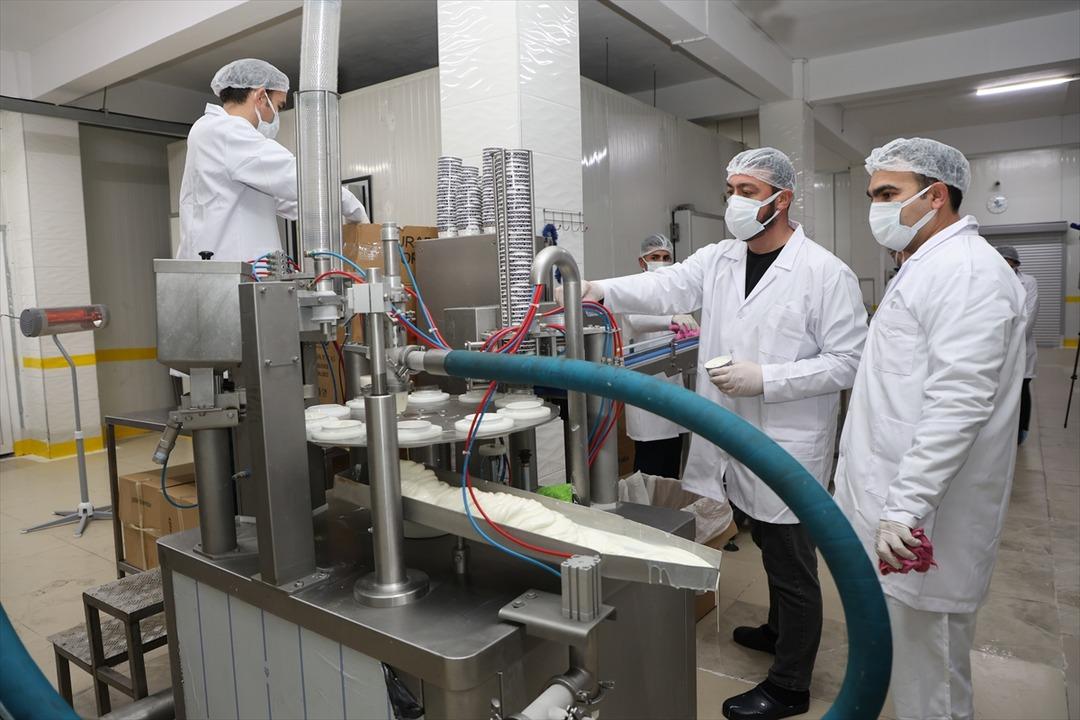 Arkadaşından öğrendi: Hayali gerçekleşti, işinin patronu oldu 3