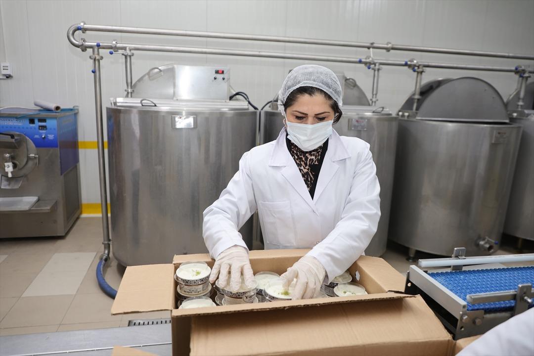 Arkadaşından öğrendi: Hayali gerçekleşti, işinin patronu oldu 4