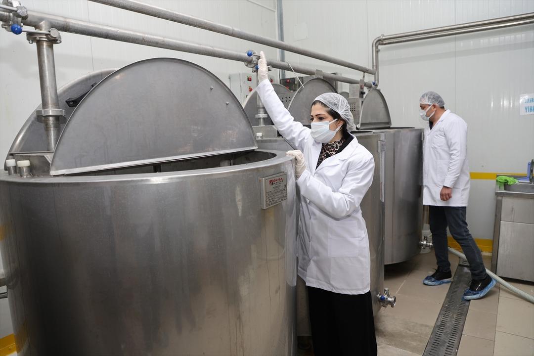 Arkadaşından öğrendi: Hayali gerçekleşti, işinin patronu oldu 6