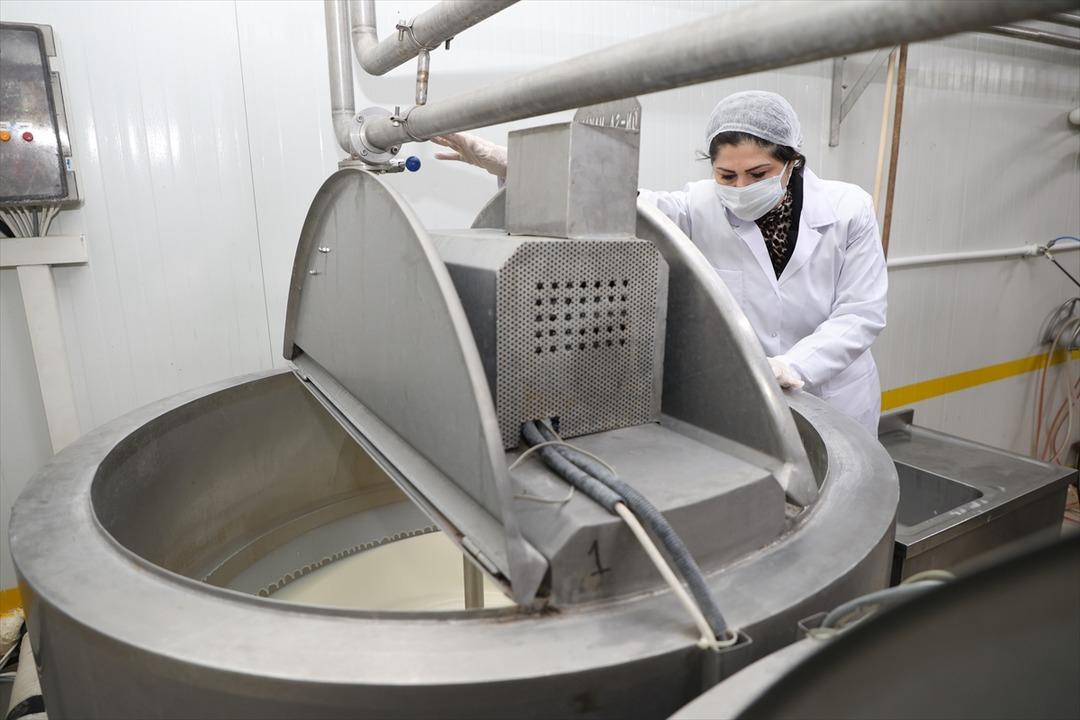 Arkadaşından öğrendi: Hayali gerçekleşti, işinin patronu oldu 7