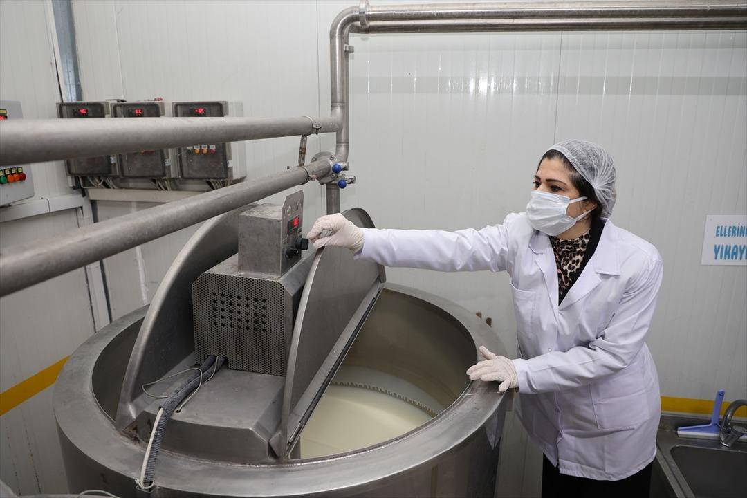 Arkadaşından öğrendi: Hayali gerçekleşti, işinin patronu oldu 8