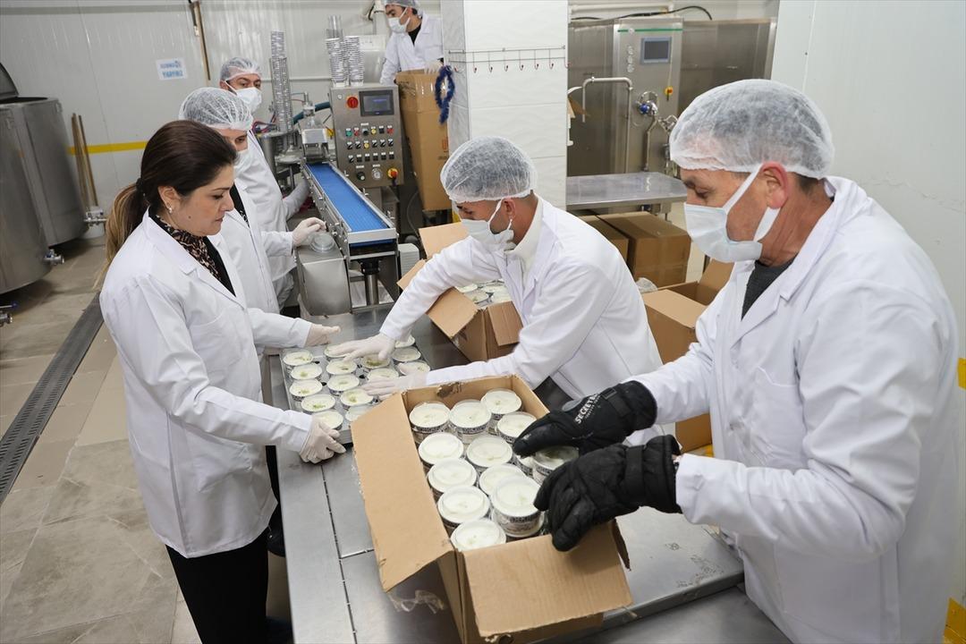 Arkadaşından öğrendi: Hayali gerçekleşti, işinin patronu oldu 9