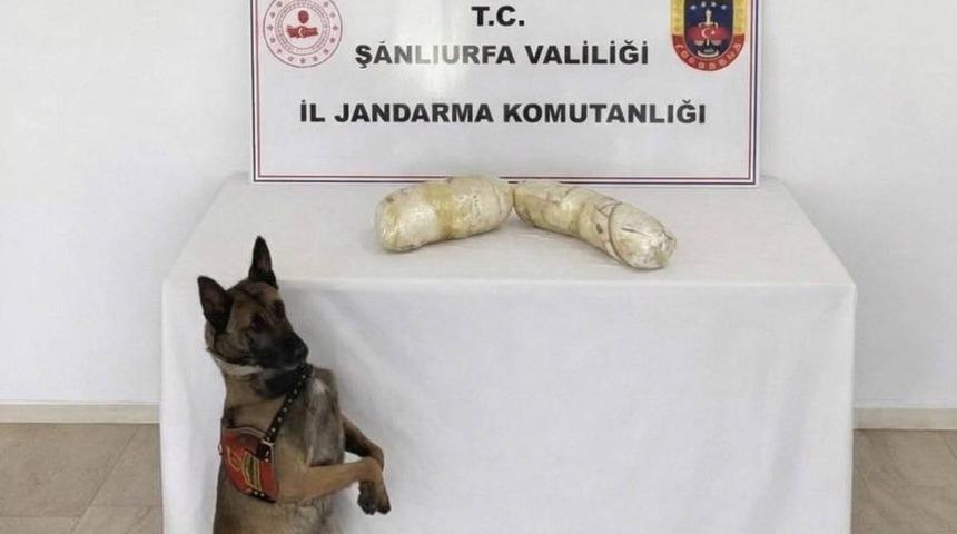 Şanlıurfa&rsquo;da 2 kilogram uyuşturucu ele ge&ccedil;irildi: 2 g&ouml;zaltı
