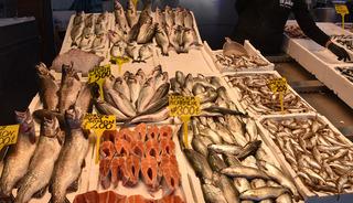 Trabzon'da istavrit ve mezgit ilgi g&ouml;r&uuml;yor!