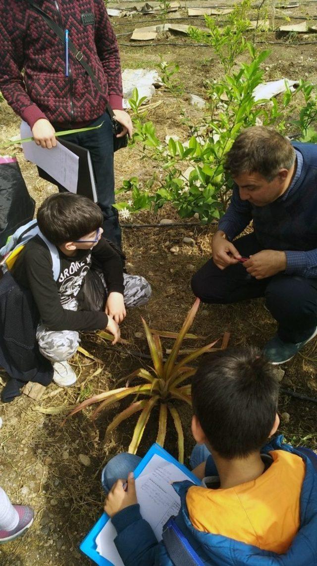 BİLSEM Öğrencileri gıdanın izini sürüyor