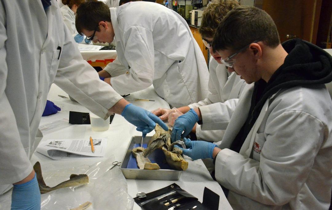 “Mavi Yaka” Maaşlarının “Beyaz Yaka”yı Geçtiği Yeni Dönem Bize Neyi Anlatıyor? 6