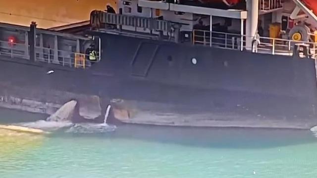 Mersin'de denizi kirleten gemiye 13 milyon TL ceza kesildi, gemi rıhtıma bağlandı