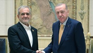 Cumhurbaşkanı Erdoğan Pezeşikayan ile g&ouml;r&uuml;şt&uuml;