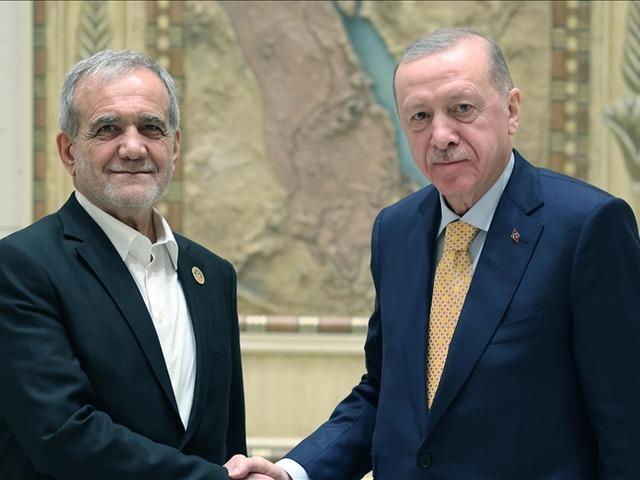 Cumhurbaşkanı Erdoğan Pezeşikayan ile g&ouml;r&uuml;şt&uuml;