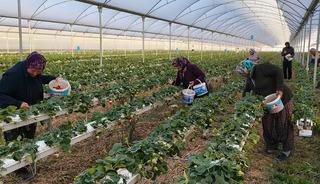 10 bine yakın iş&ccedil;i geliyor: Yurt dışına da satılıyor