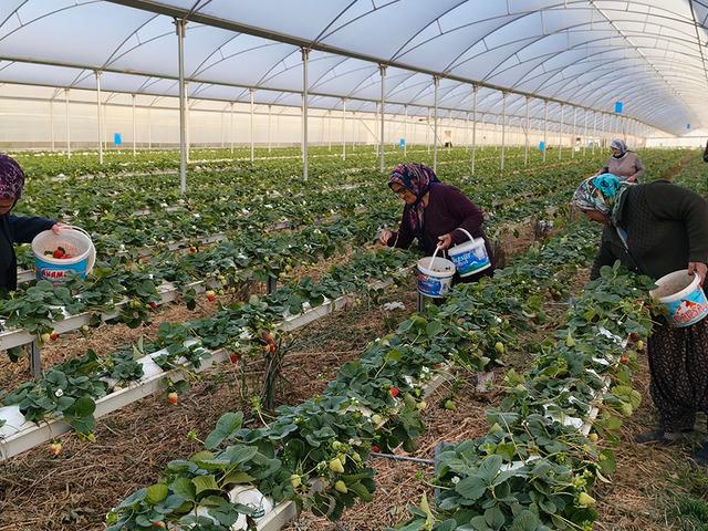 10 bine yakın iş&ccedil;i geliyor: Yurt dışına da satılıyor