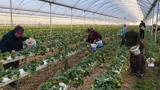 10 bine yakın işçi geliyor: Yurt dışına da satılıyor 'Tüm dünyada tanınır oldu'