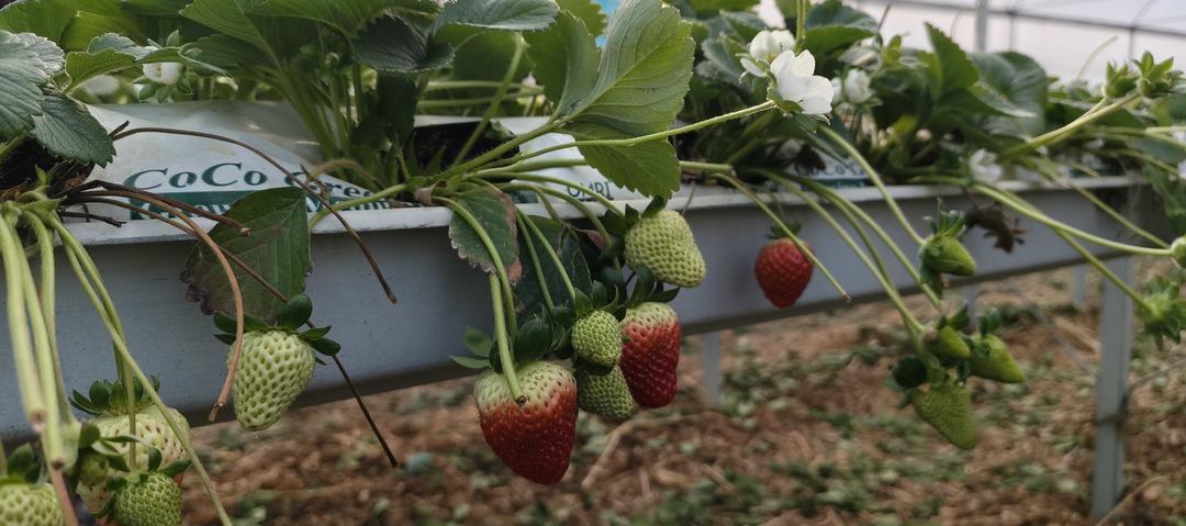 10 bine yakın iş&ccedil;i geliyor: Yurt dışına da satılıyor  T&uuml;m d&uuml;nyada tanınır oldu  2