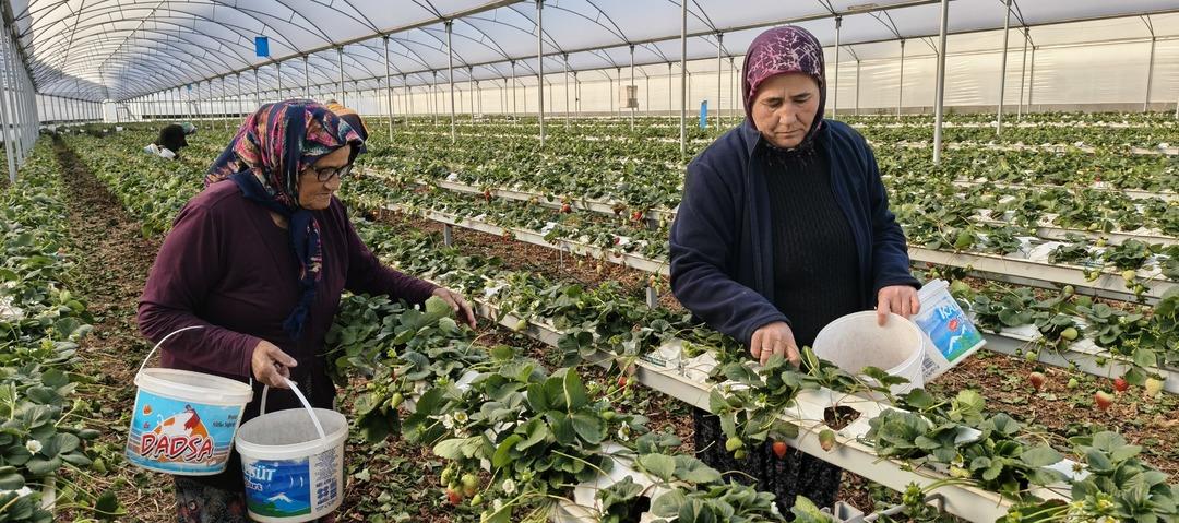 10 bine yakın iş&ccedil;i geliyor: Yurt dışına da satılıyor  T&uuml;m d&uuml;nyada tanınır oldu  3