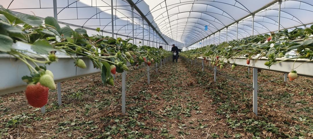 10 bine yakın iş&ccedil;i geliyor: Yurt dışına da satılıyor  T&uuml;m d&uuml;nyada tanınır oldu  5
