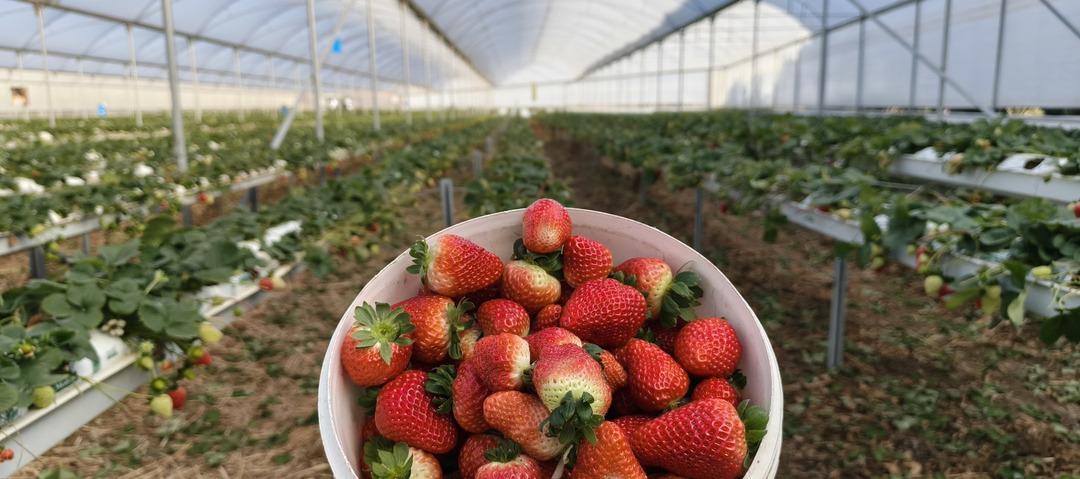 10 bine yakın iş&ccedil;i geliyor: Yurt dışına da satılıyor  T&uuml;m d&uuml;nyada tanınır oldu  6