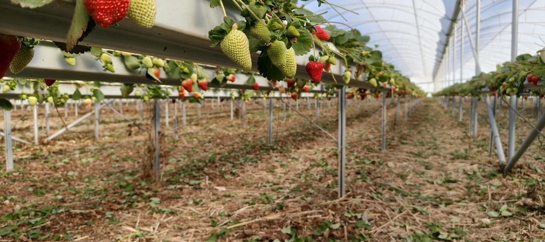 10 bine yakın iş&ccedil;i geliyor: Yurt dışına da satılıyor  T&uuml;m d&uuml;nyada tanınır oldu  7