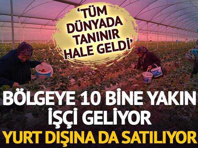 10 bine yakın iş&ccedil;i geliyor: Yurt dışına da satılıyor