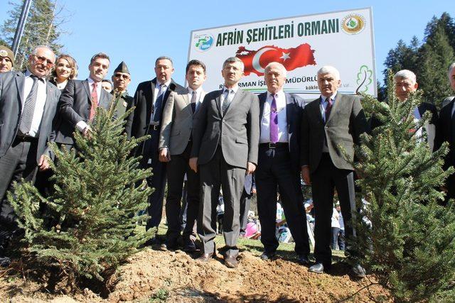 Rize’de Afrin Kahramanları için Hatıra Ormanı