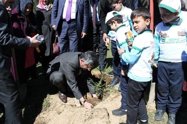 Rize’de Afrin Kahramanları için Hatıra Ormanı