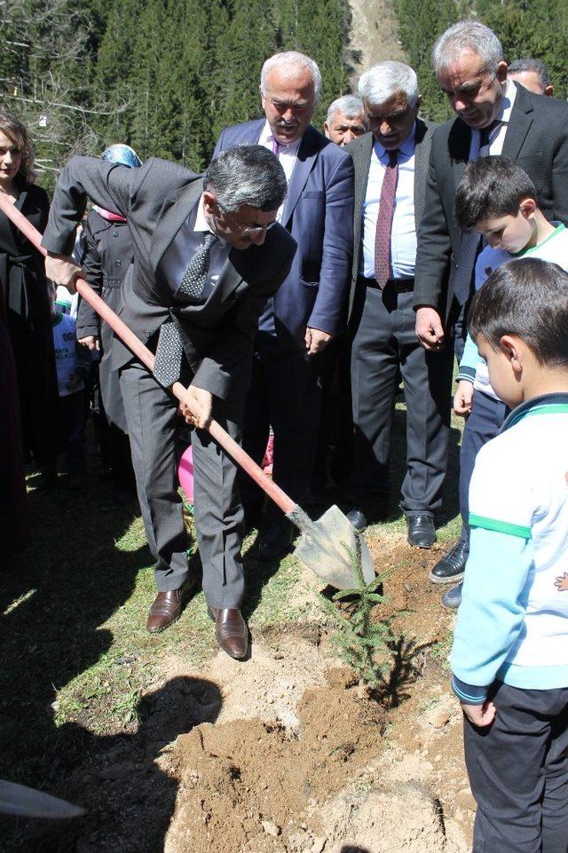 Rize’de Afrin Kahramanları için Hatıra Ormanı