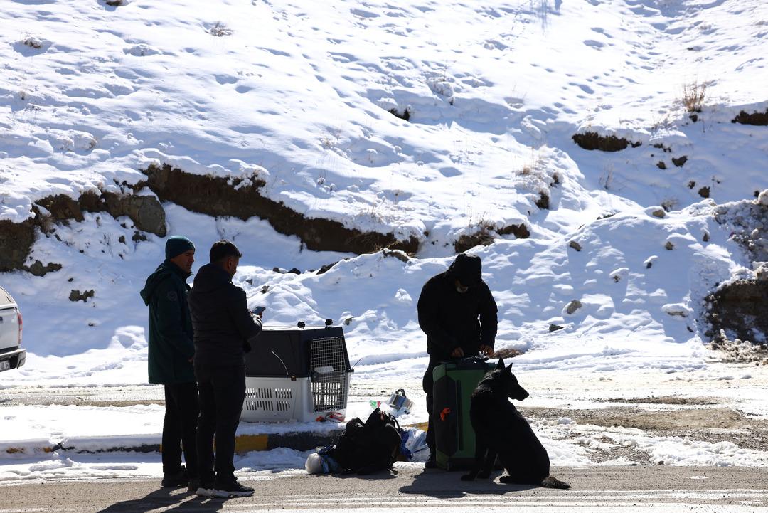 Hareketli g&ouml;r&uuml;nt&uuml;ler Van daki sınır kapısından: Ellerinde valizler, y&uuml;z ifadeleri dikkat &ccedil;ekici 8