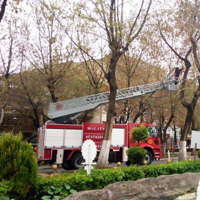 Malatya’daki kuş yuvaları onarıldı