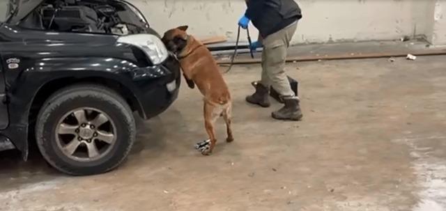 Kapıkule&rsquo;de ara&ccedil;taki gizli b&ouml;lmede 8 kilo 60 gram kokain ele ge&ccedil;irildi 1