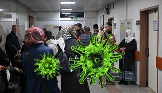 Domuz gribi vakalarında yeniden artış!