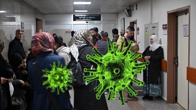 Yıl sonunda pik yapmıştı: Domuz gribi vakalarında yeniden artış!