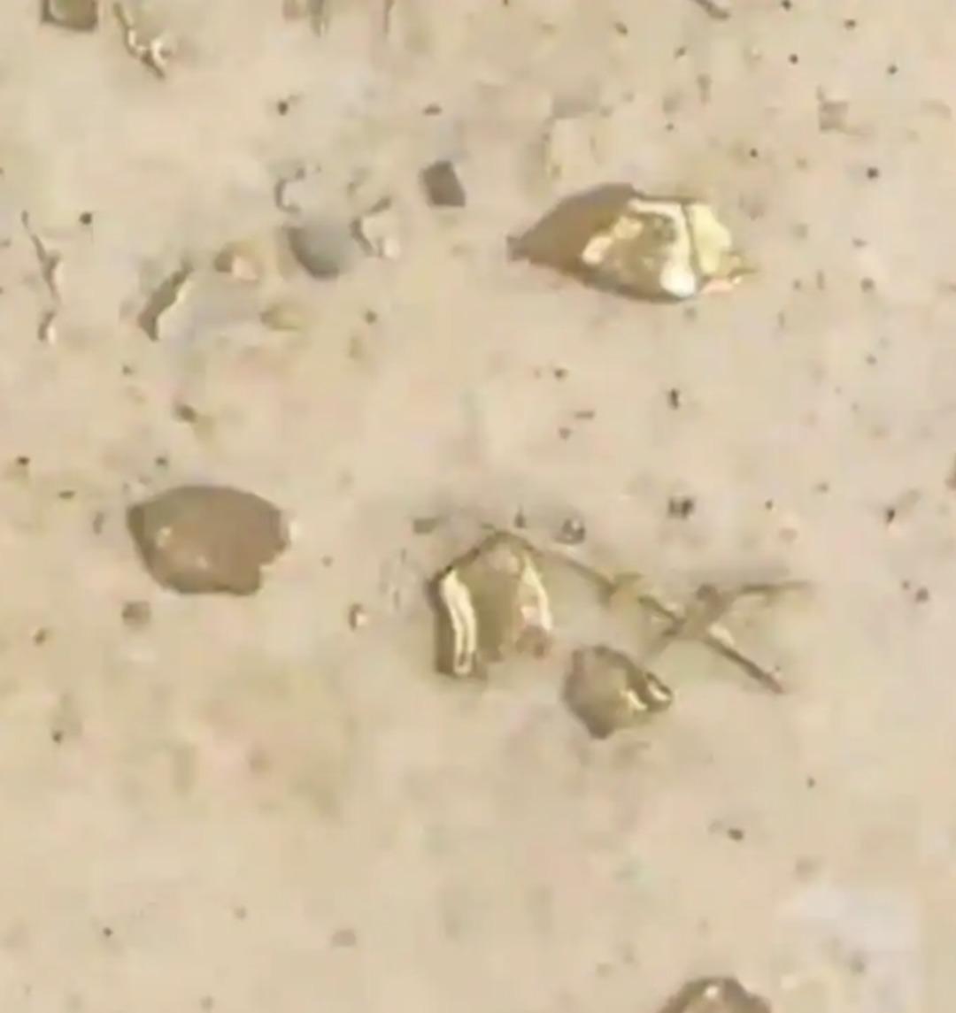 Beslediği &ouml;rdek altın yumurtlayan tavuk &ccedil;ıktı! Karnında &ccedil;il &ccedil;il altın taşıyormuş&nbsp; 1