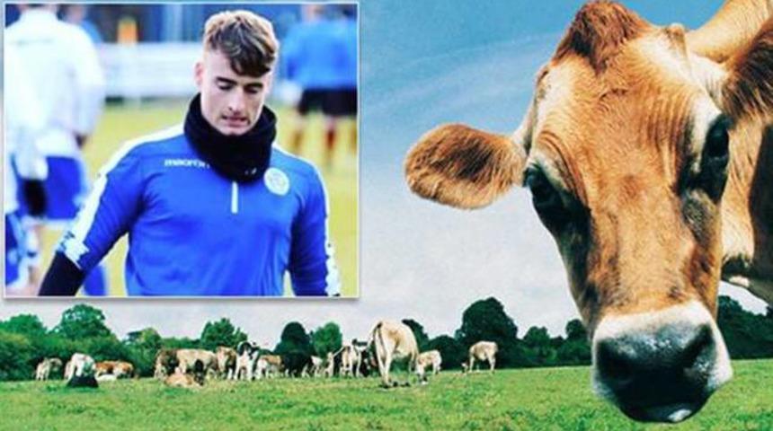 Sam Henderson babasının &ccedil;iftliğinden ka&ccedil;an ineği yakalarken sakatlandı