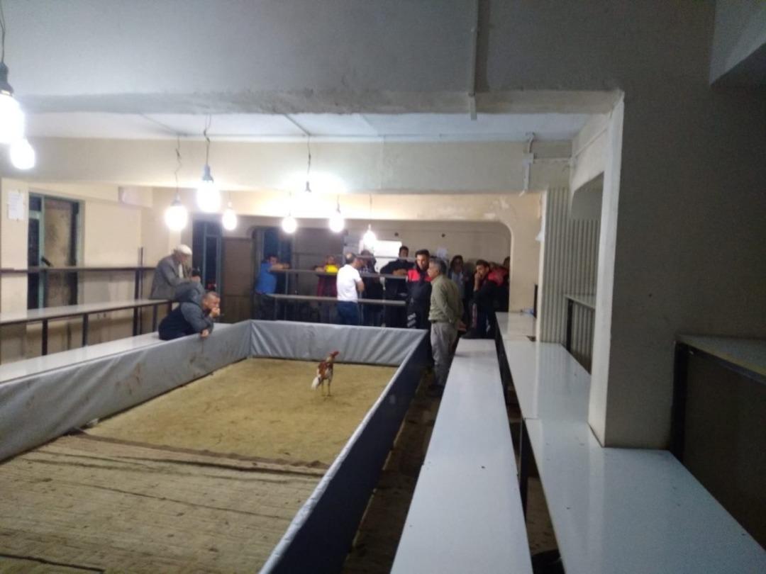 Horoz d&ouml;v&uuml;ş yerini, mini stadyuma &ccedil;evirmişler