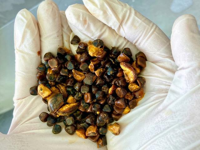 Altından daha değerli! Ciddi hastalıklara şifaymış