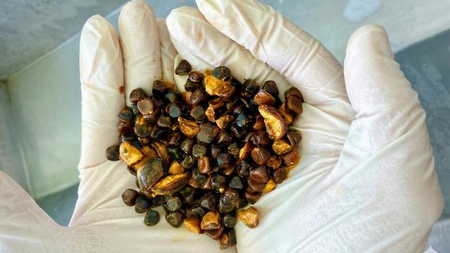 Bu taş artık altından daha değerli! Ciddi hastalıkların tedavisinde kullanılıyor