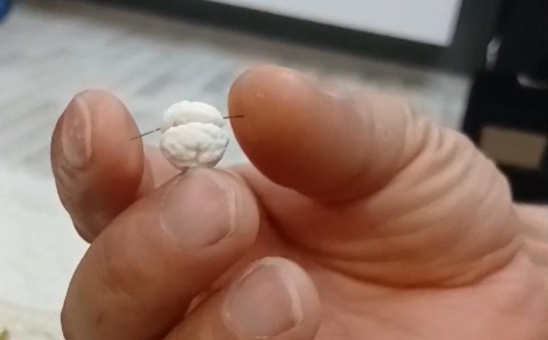 Y&uuml;ksekova da bir aileyi hayrete d&uuml;ş&uuml;ren olay: Dikkati faciayı &ouml;nledi! 1